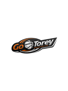 Download GoTorey APK for Android