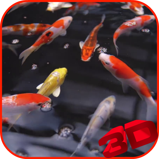 21+ Ikan Koi Background, Trend Inspirasi!