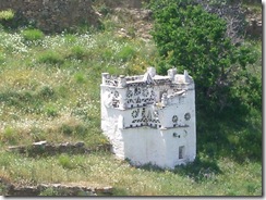 IMGP1355