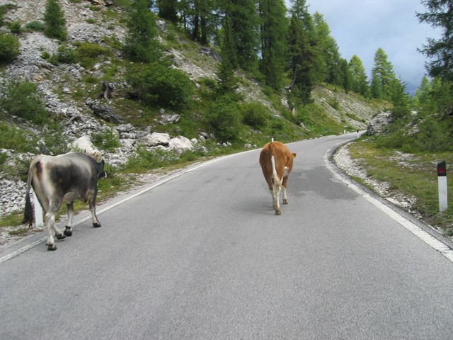 [IMG_42292.jpg]