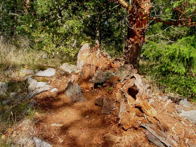 [geodpcache3web[4].jpg]