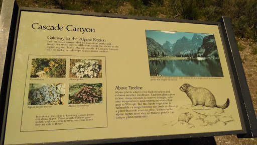 Cascade Canyon Turnout
