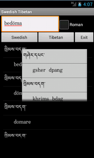 瑞典藏詞典