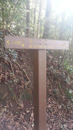 Morning Trail 1400m