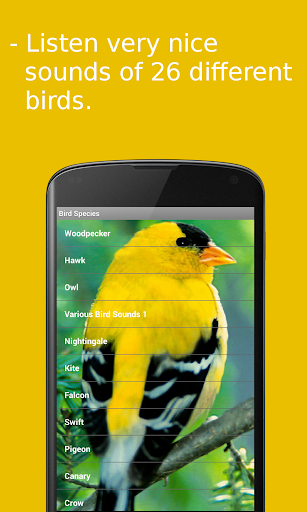 【免費音樂App】Bird Sounds-APP點子