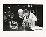 Vrouwendag in het Buitenvelderts Ontspanningscentrum