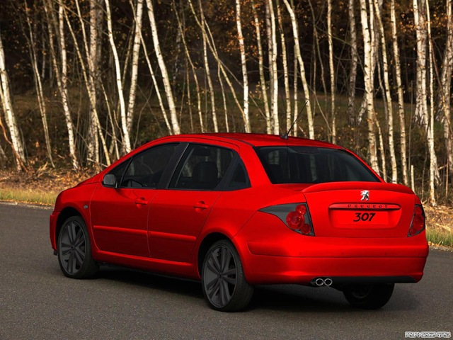[307 sport[3].jpg]