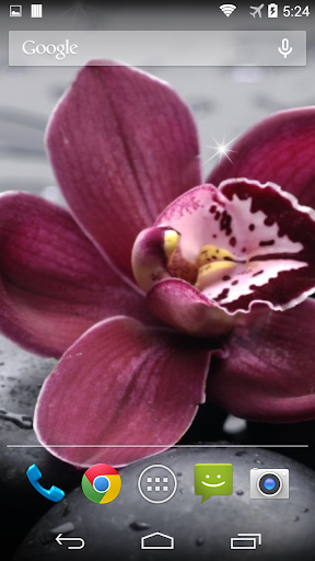 Orchid Live Wallpaper