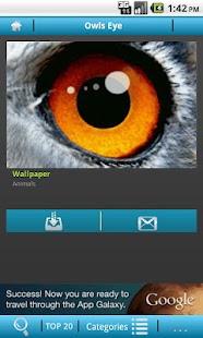 Free Download Wallify - Free Wallpapers APK for Android