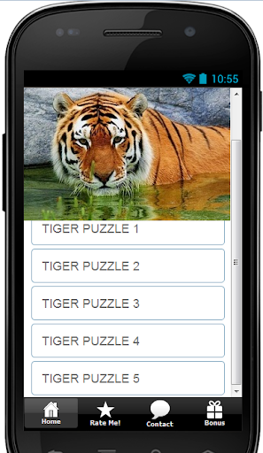 Tiger Puzzle