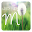 صور حرف M Download on Windows