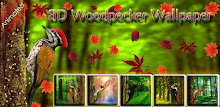 3D Woodpecker Live Wallpaper APK