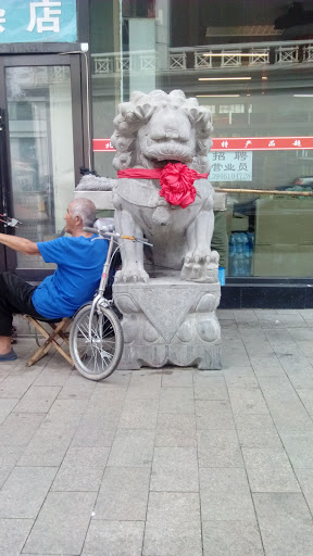 老人与狮