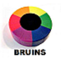 NHL Bruins Assistant Live logo