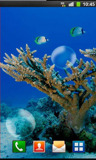 Fishing Coral Reef Photo LWP