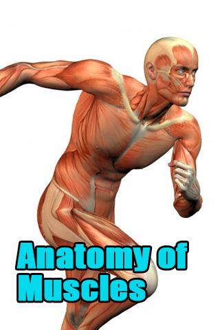 Anatomy of Muscles