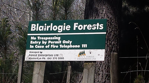 Blairlogie Forest