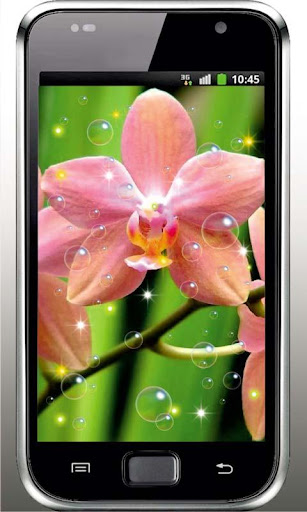 Orchid Spring live wallpaper