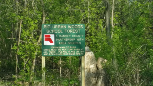 Big Urban Woods