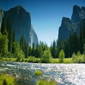 Tranquil Stream Live Wallpaper logo