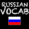 Russian Vocab Game Application icon