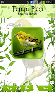 How to get Zosterops Therapy 1.1 mod apk for pc
