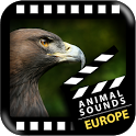 Best European Animals Sounds icon