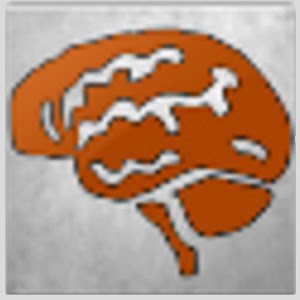 Memory Challenge  Icon