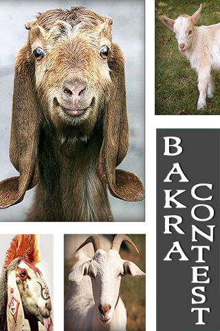 Bakra Contest