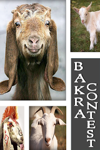 How to get Bakra Contest patch 1.1 apk for android