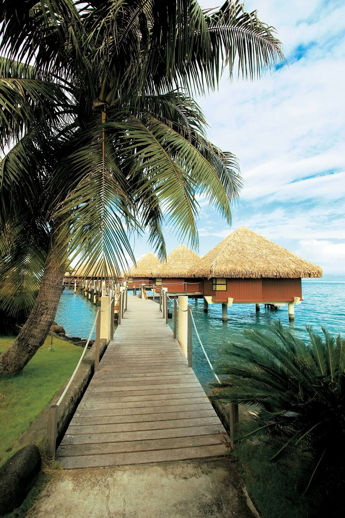 Tahiti_bungalows_Paul_Gauguin_2 - The Paul Gauguin takes you to the InterContinental Resort Tahiti, the perfect place to spend a day in paradise.