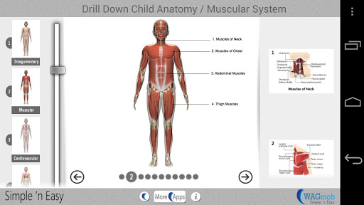 Drill Down Child Anatomy