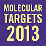 Targets 2013 Application icon