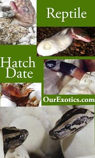 Hatch Date Screenshots 0
