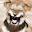 Funny Pics FX&Meme Editor LOL Download on Windows