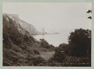 De rostachtige kust nabij Torquay