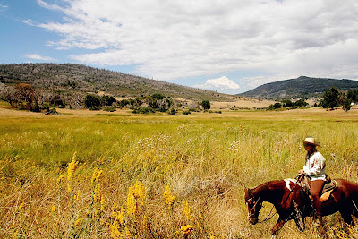 A horseback rider in Cuyamaca near San Diego.