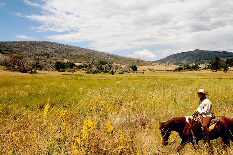 A horseback rider in Cuyamaca near San Diego.