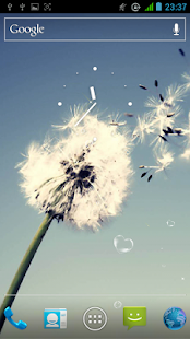 Dandelion Live Wallpaper