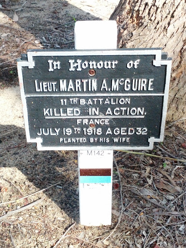 Lieutenant Martin A McGuire