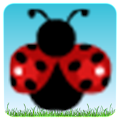 Ladybird Apk