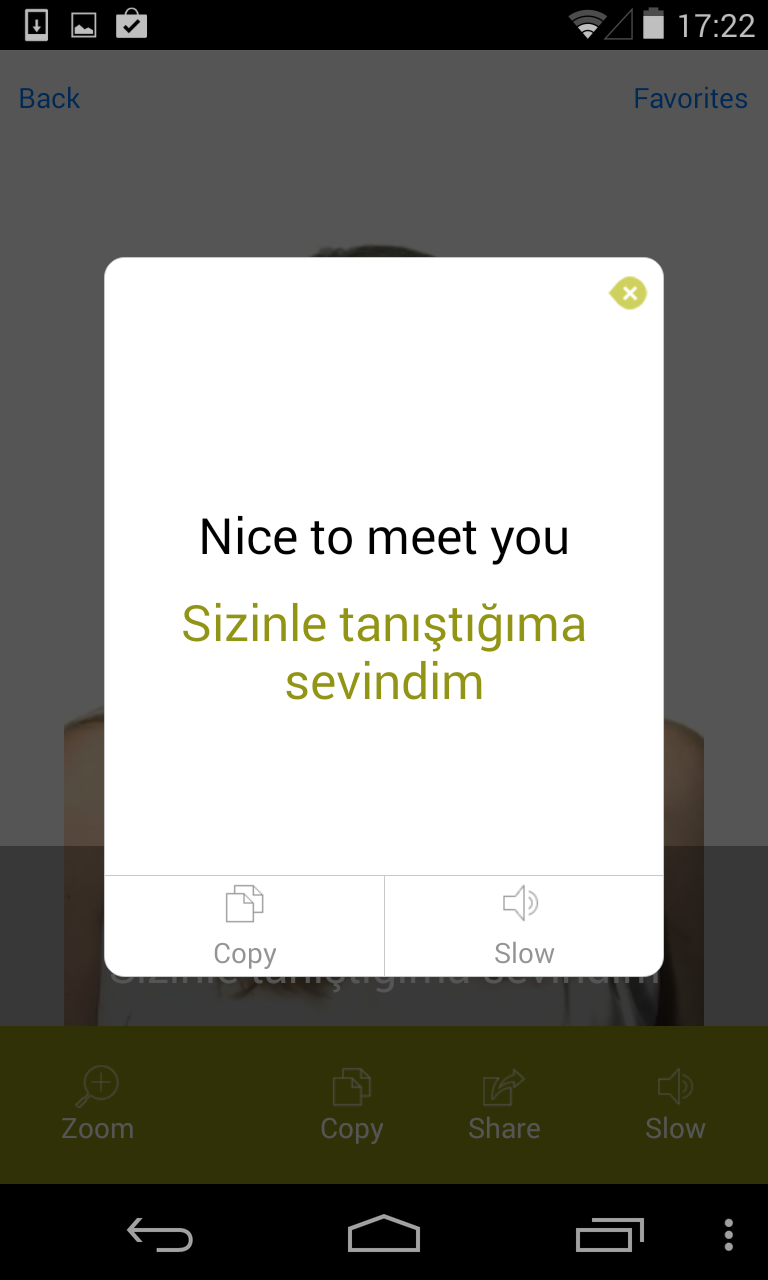 Turkish Video Translation Screen 3