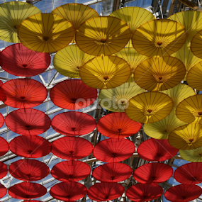 A ceiling of umbrellas by Dianne Collins - Buildings & Architecture Other Interior