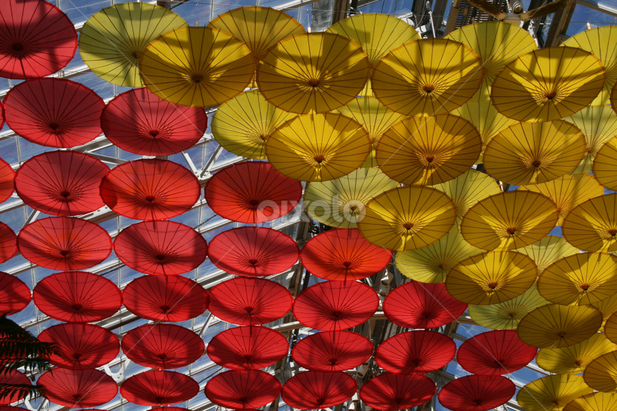 A ceiling of umbrellas by Dianne Collins - Buildings & Architecture Other Interior