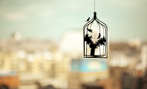 maxi photo editor Screenshots 6