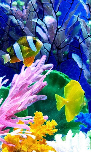 Live wallpaper aquarium HD