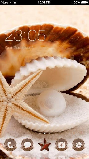 Sea Shell Theme