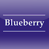 Blueberry Nursery