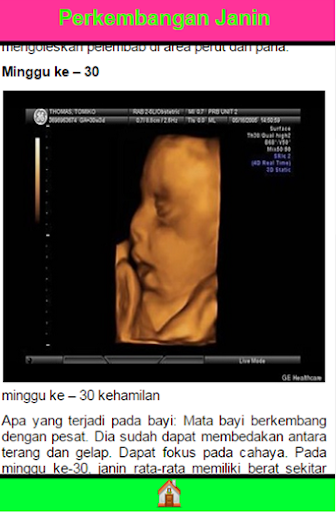 免費下載健康APP|Perkembangan Janin 1-40 Minggu app開箱文|APP開箱王
