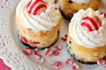 Mini Peppermint Cheesecake Recipe
